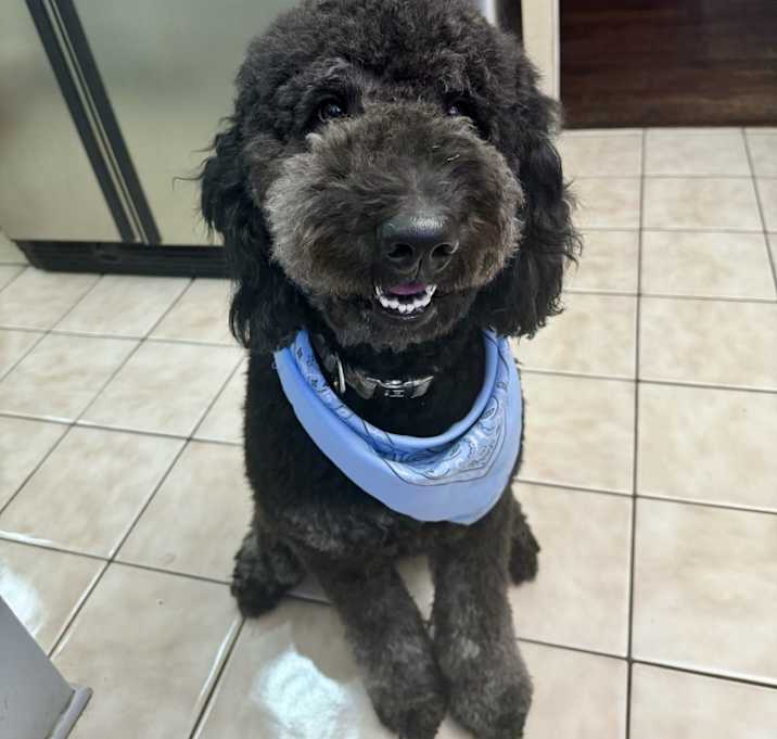 Photo of Charlie