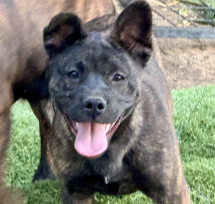 Photo of Zelda
