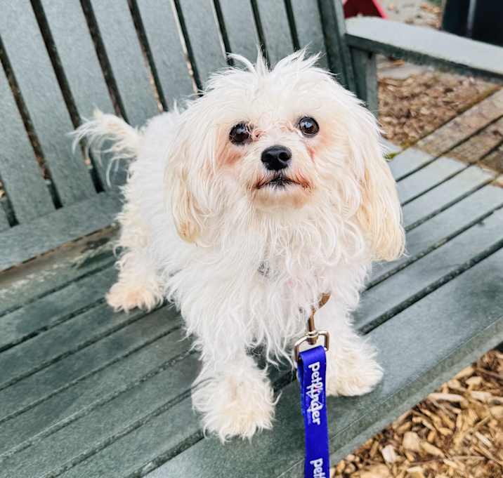 Photo of Lola