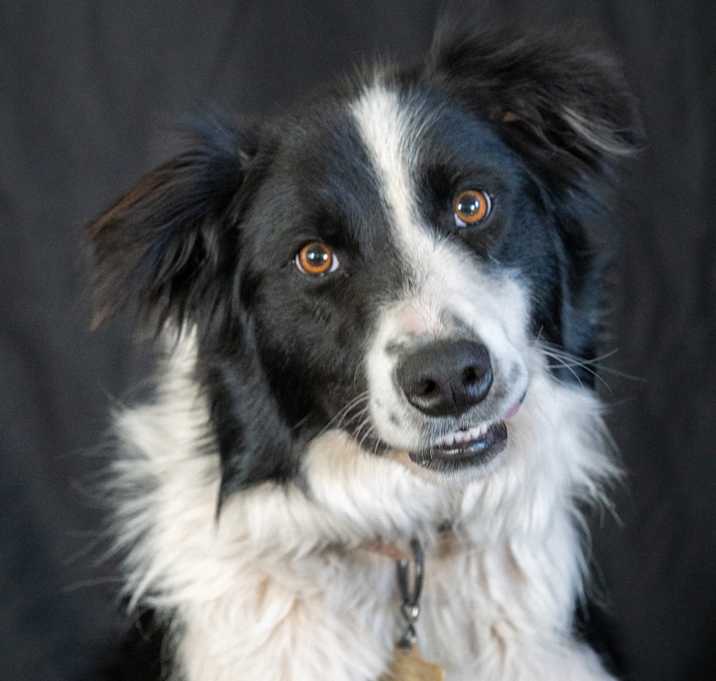 Photo of ENZO
