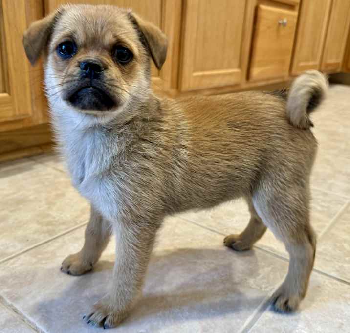 Photo of Chloe