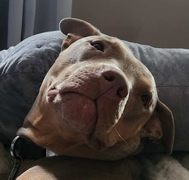 Photo of Ruca