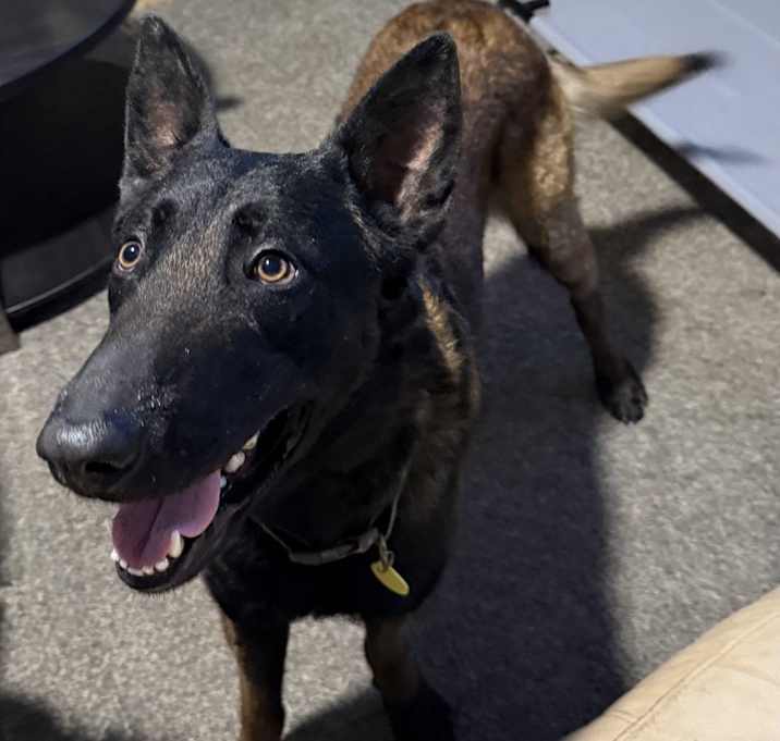 Photo of Echo
