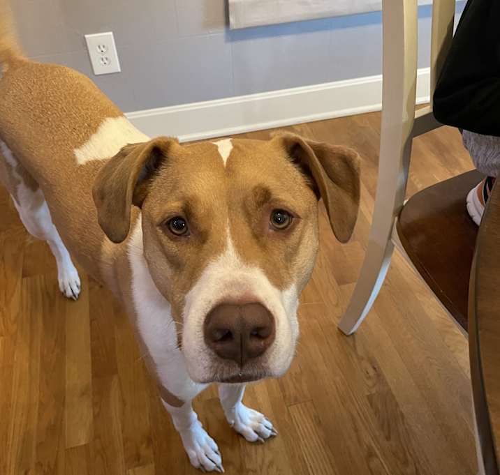 Photo of Bruce