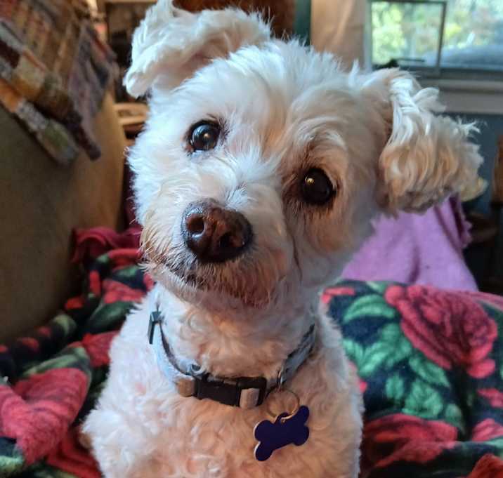 Photo of Mae