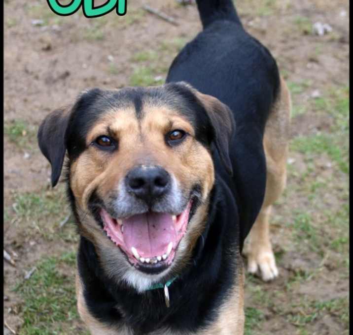 Photo of Obi