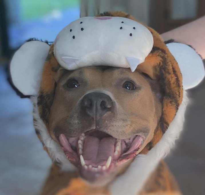 Photo of Nyla