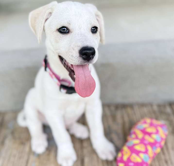Photo of Brylee