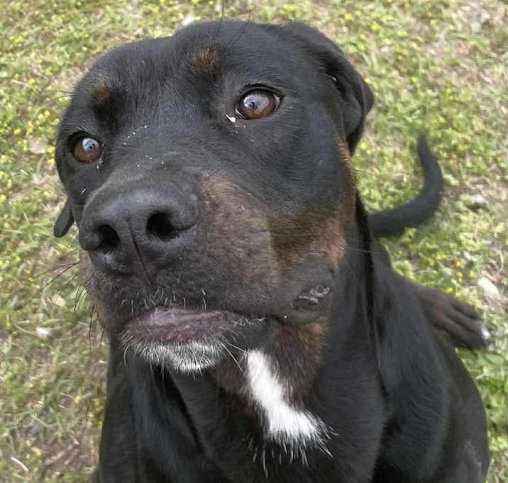 Photo of FONTINA/URGENT