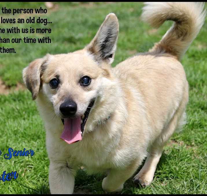 Photo of Scooter