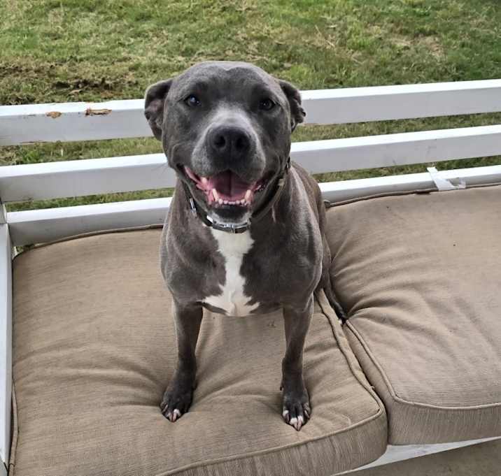Photo of Lola