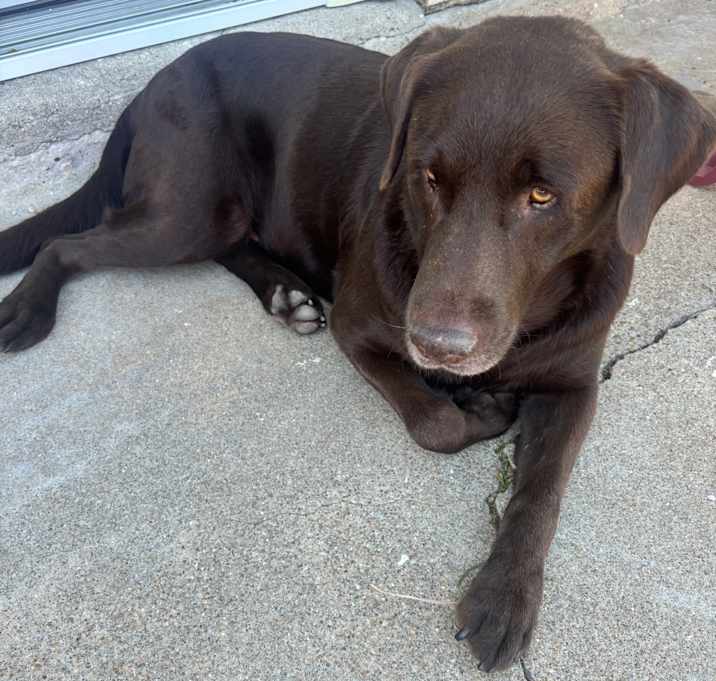 Photo of Max