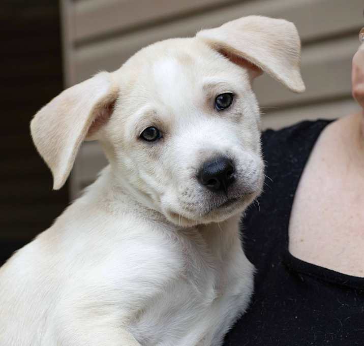 Photo of Brody