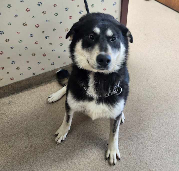 Photo of Chance