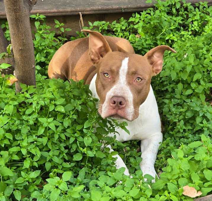 Photo of Roo
