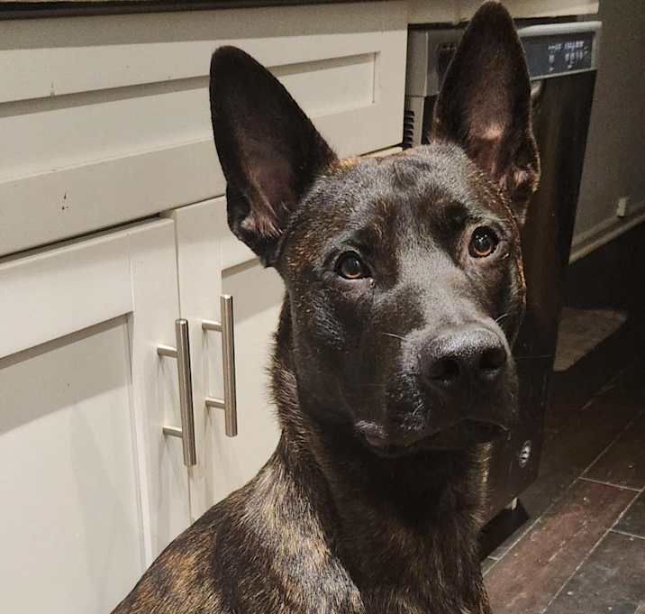 Photo of Monty