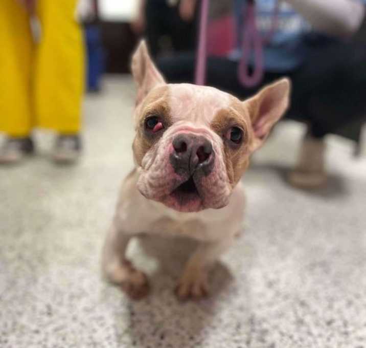 Photo of Sophie (GA)
