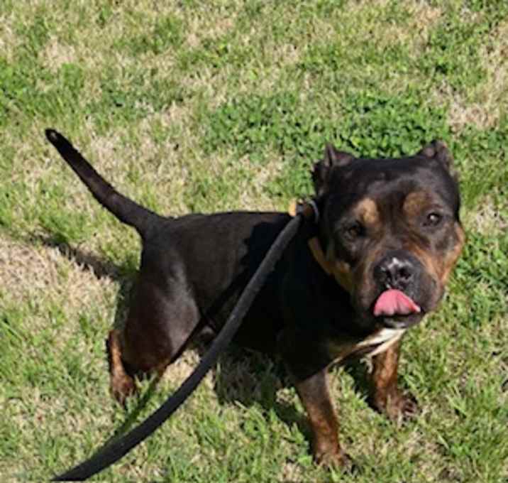 Photo of Bruce