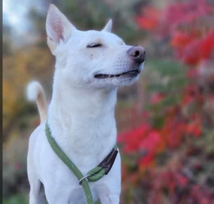 Photo of Olaf 