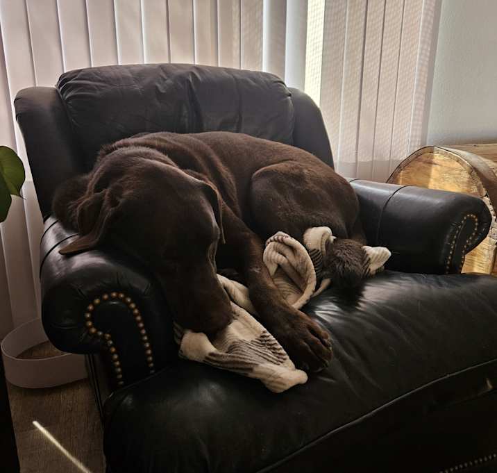 Photo of Gunner
