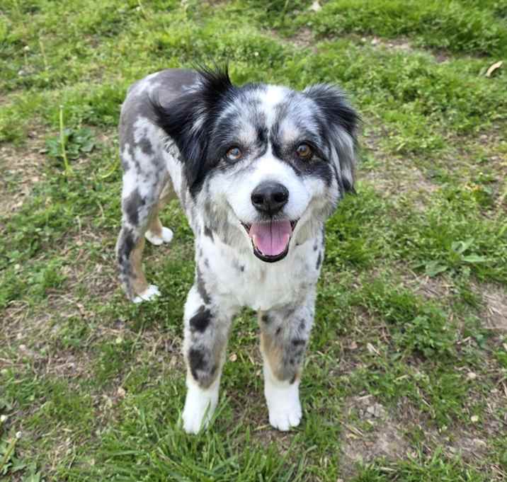 Photo of Scooter