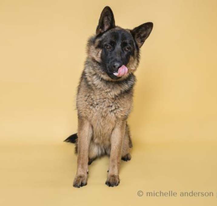 Photo of ARWIN