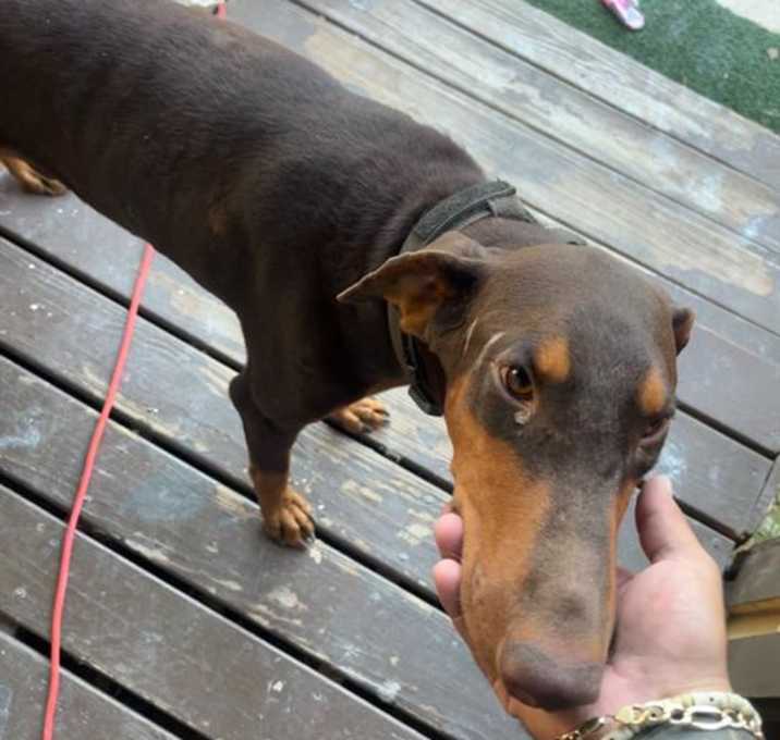 Photo of MILO