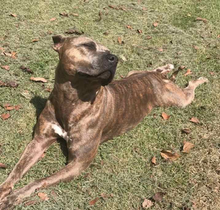 Photo of Lola