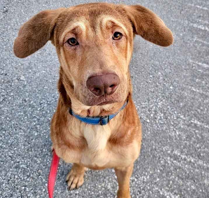 Photo of Graham - Reduced Fee!