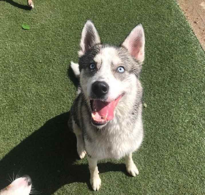 Photo of Denver