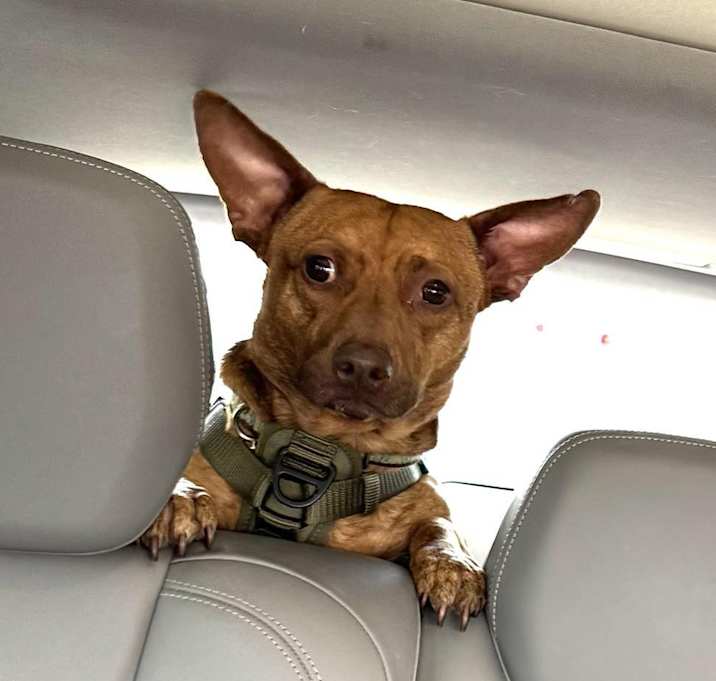 Photo of Shorty Max!