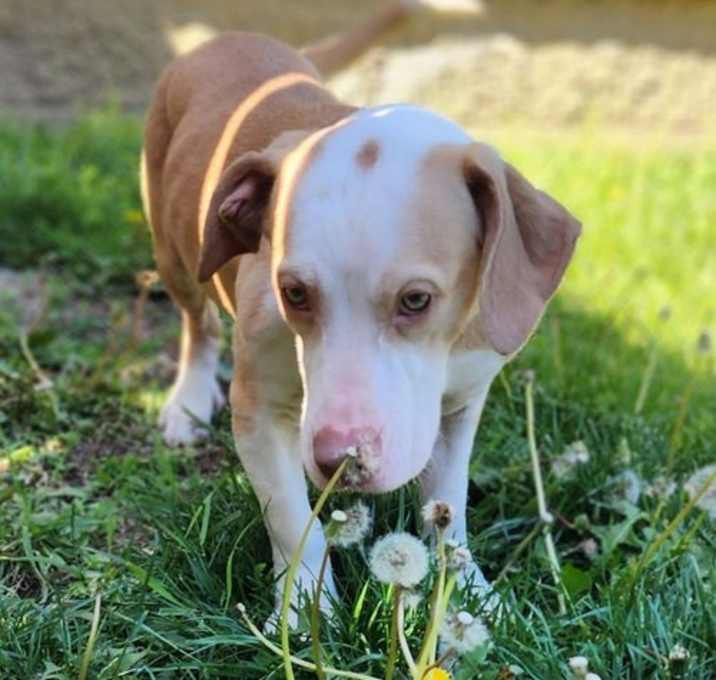 Photo of Misty
