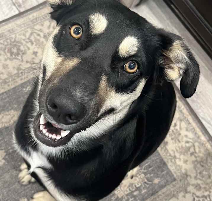 Photo of Indi