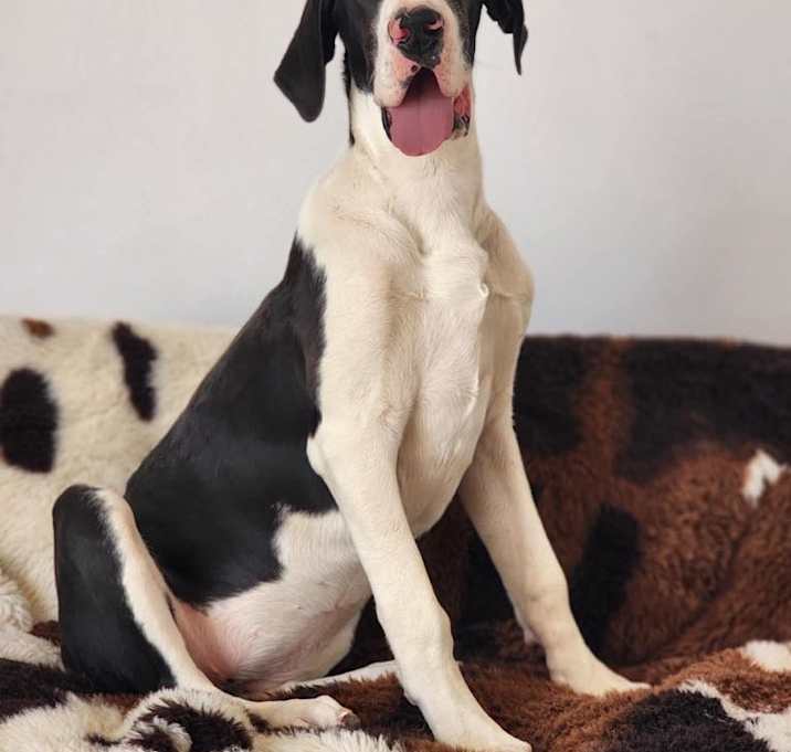 Photo of Loretta