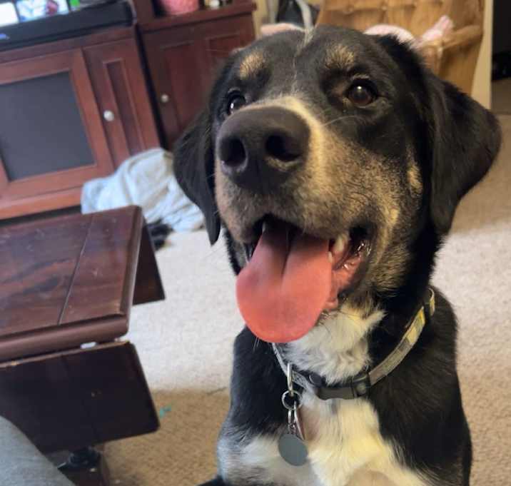 Photo of Astro