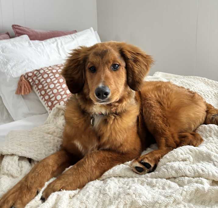 Photo of Coco