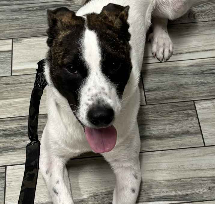 Photo of Zuko