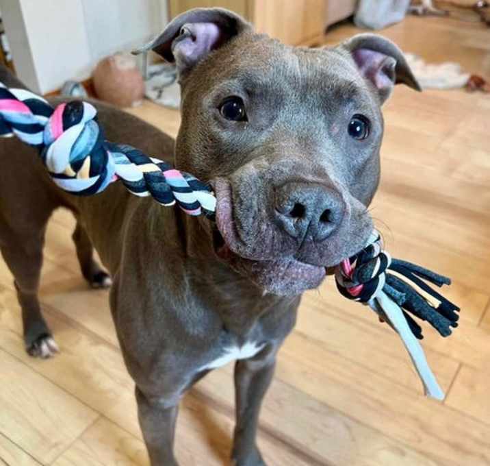 Photo of Drago help needed