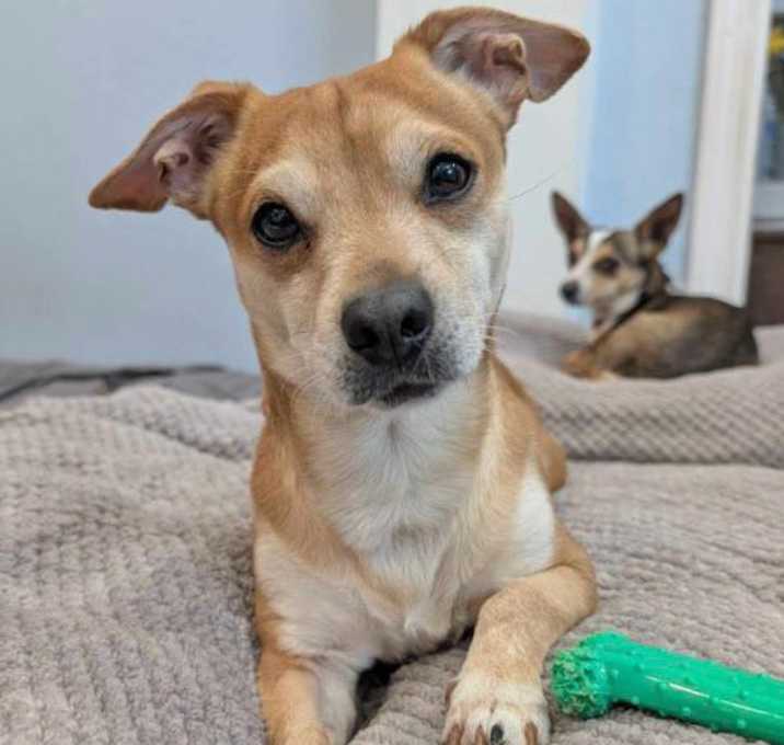 Photo of Tiny