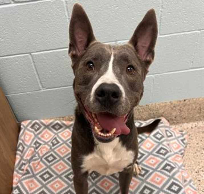 Photo of ROSCOE