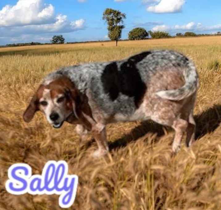 Photo of Sally