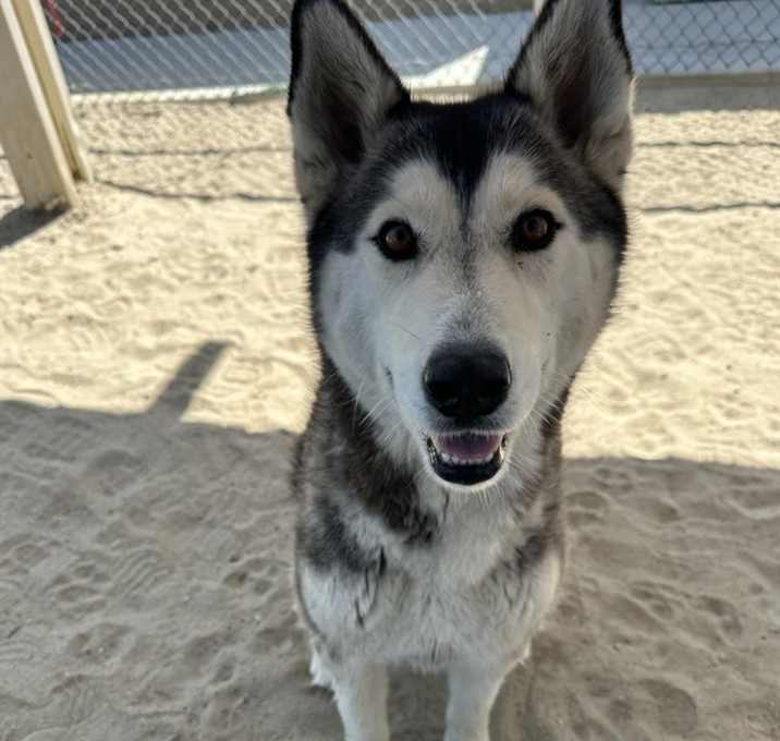 Photo of LUNA
