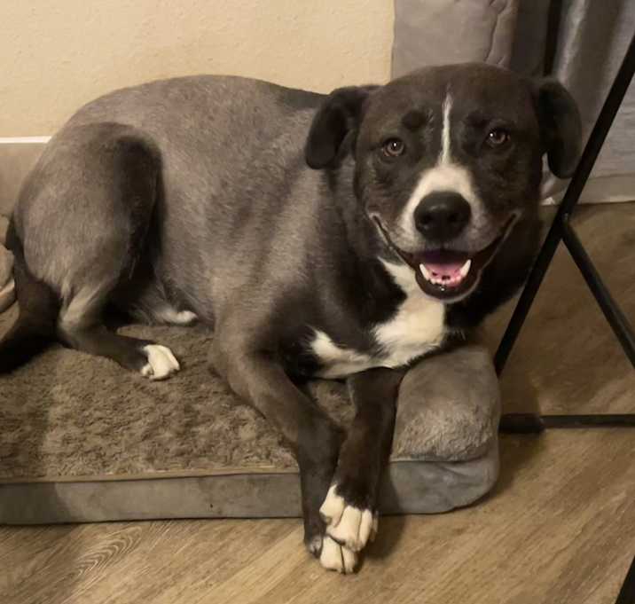 Photo of cash