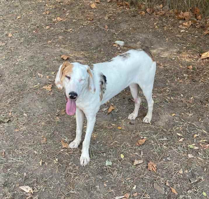 Photo of Marcie