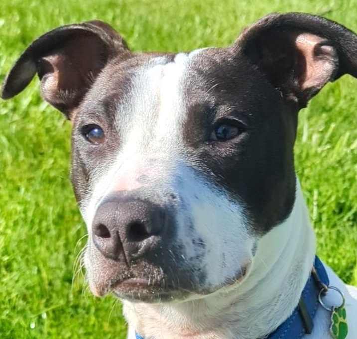 Photo of ENZO