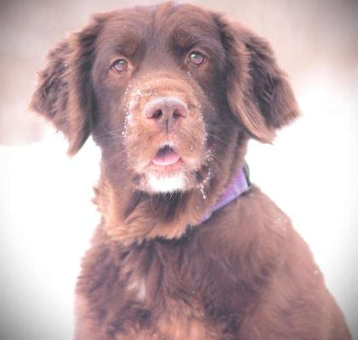 Photo of Dumplin