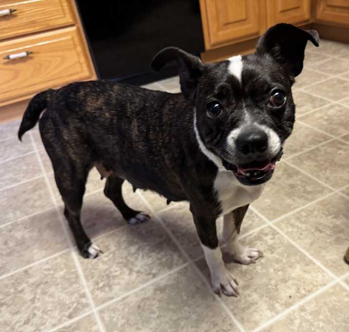 Photo of Luna