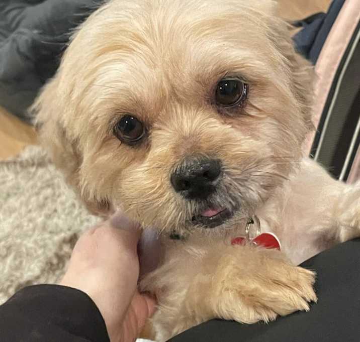 Photo of Mia