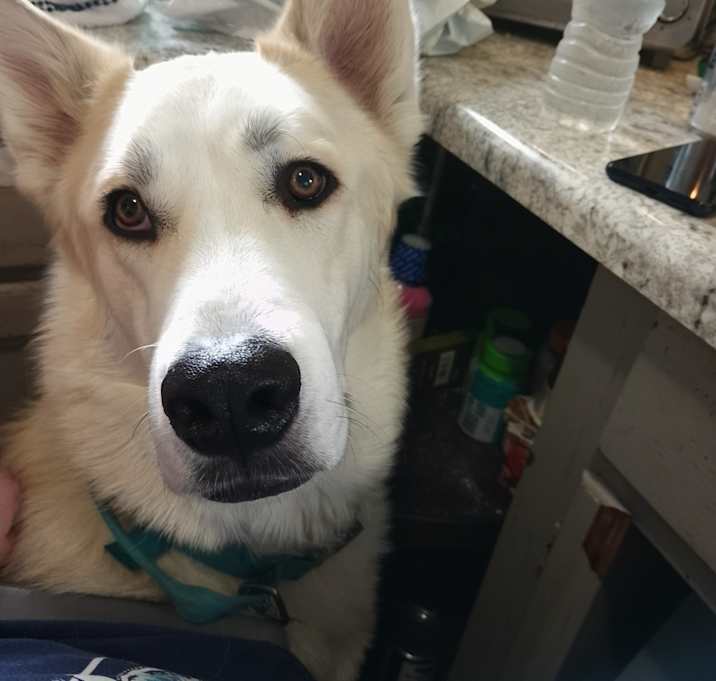 Photo of Zuki
