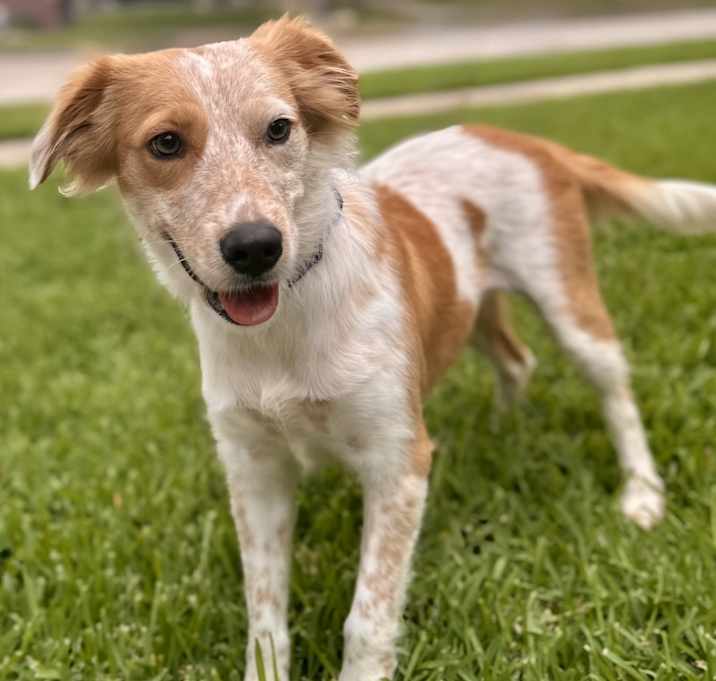 Photo of Hazel